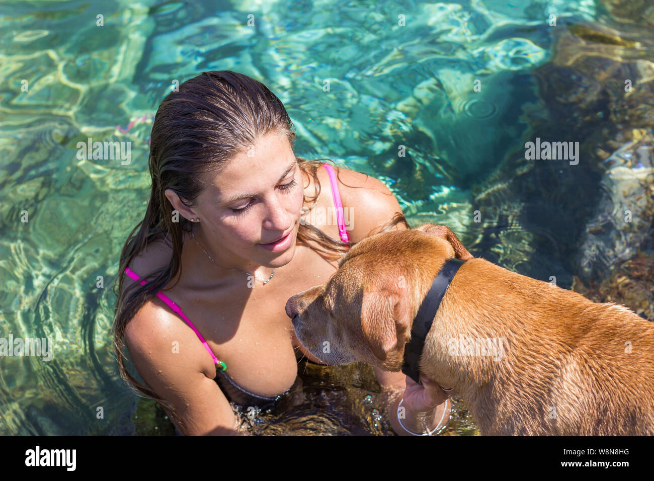 Young woman swimming with her dog at sea Stock Photo