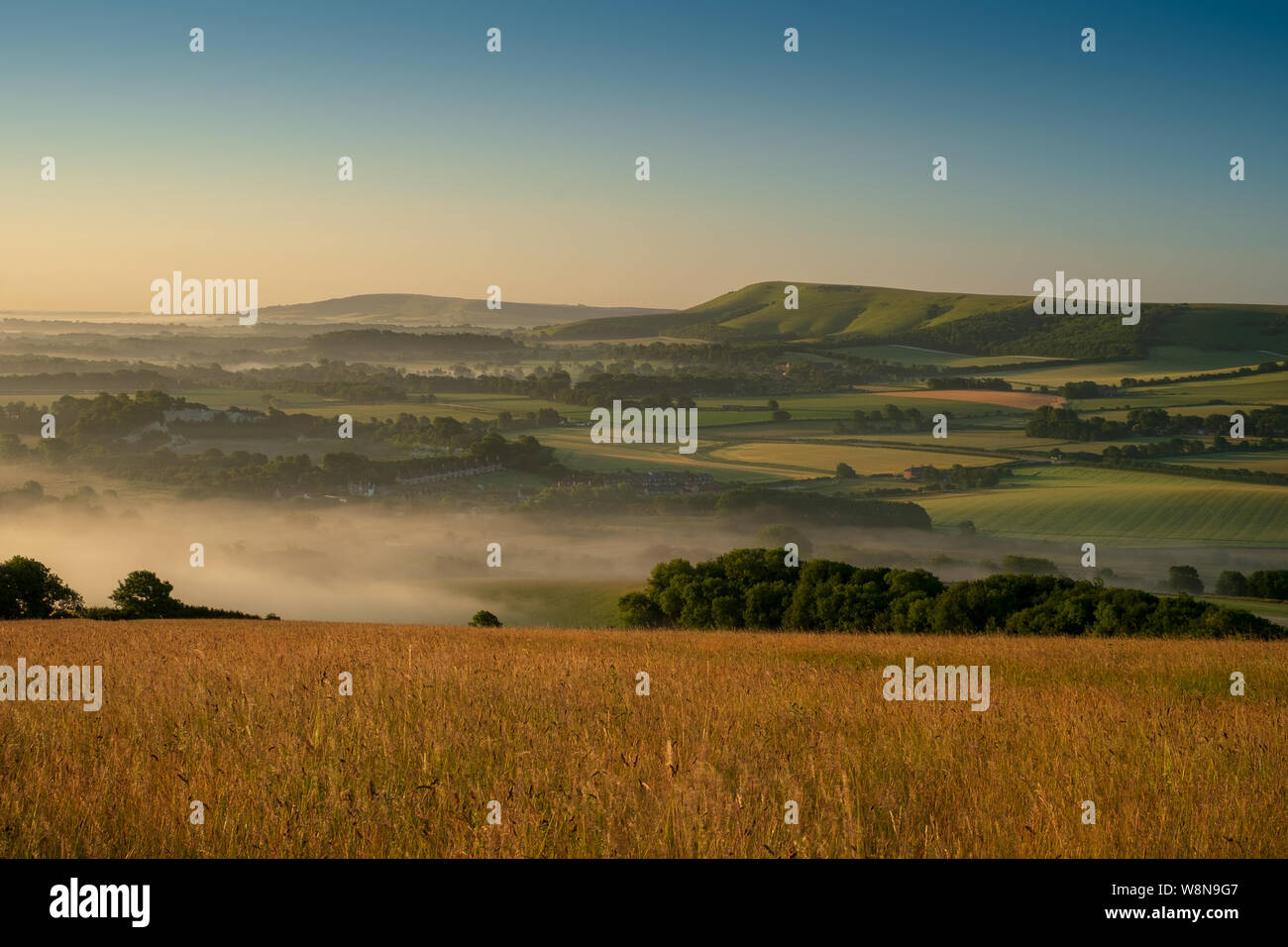 Looking over cornfields to early morning mist rising in the weald between Beddingham Hill and Firle Beacon, East Sussex 4 Stock Photo