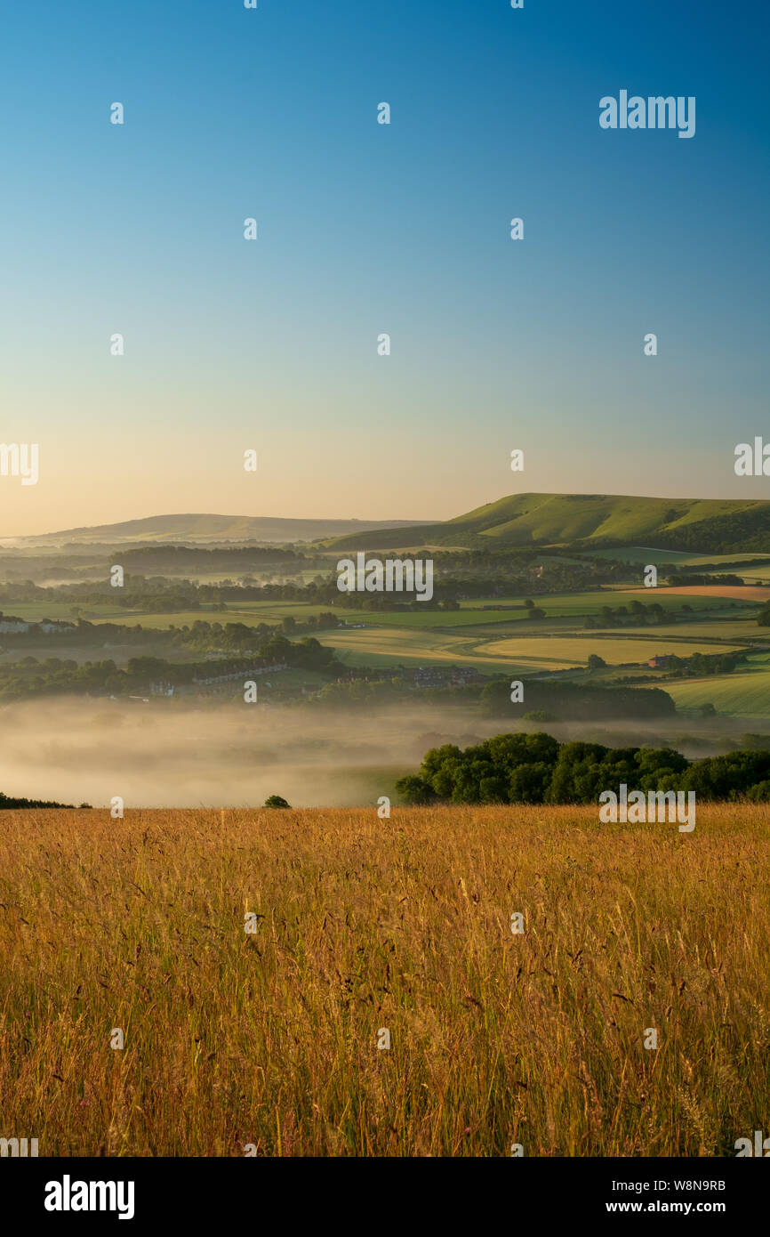 Looking over cornfields to early morning mist rising in the weald between Beddingham Hill and Firle Beacon, East Sussex 3 Stock Photo