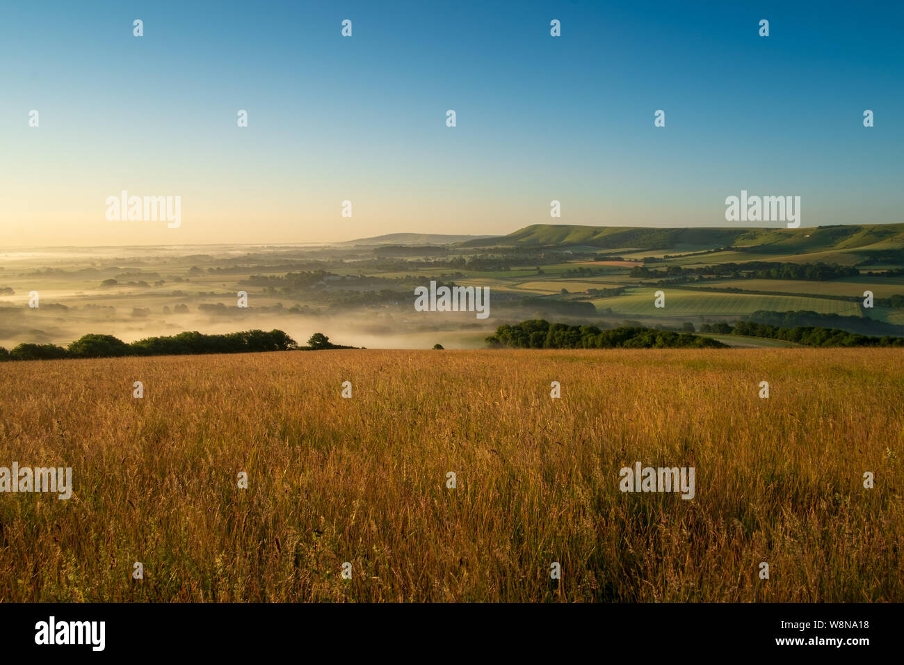 Looking over cornfields to early morning mist rising in the weald between Beddingham Hill and Firle Beacon, East Sussex 1 Stock Photo