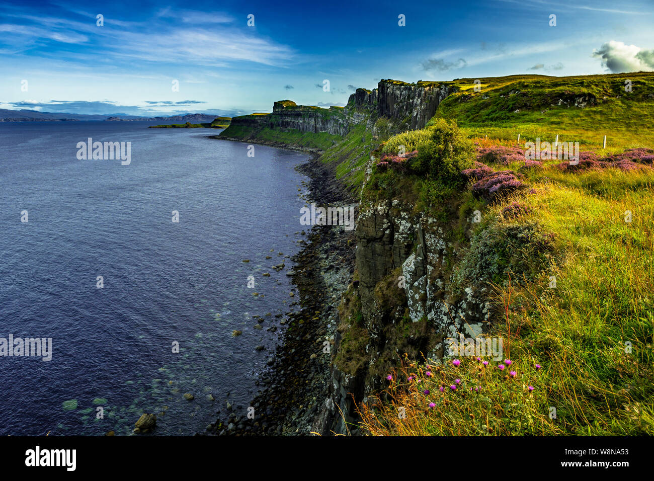 Coastal Landscape With Heather Near Kilt Rock On The Isle Of Skye In ...