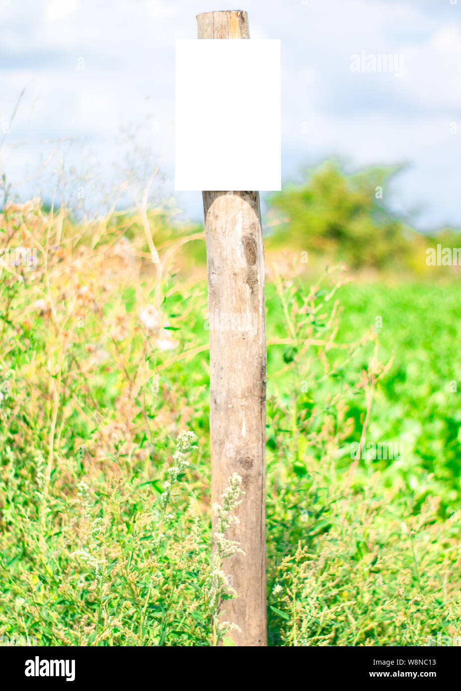 small empty sign for a Dutch landscape to place your own text or image ...