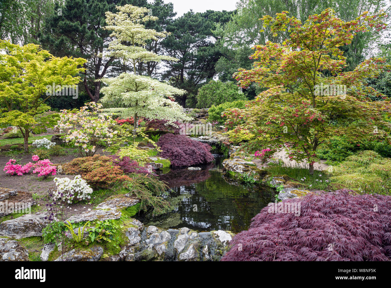The Japanese garden at Samarès Manor, Jersey Stock Photo
