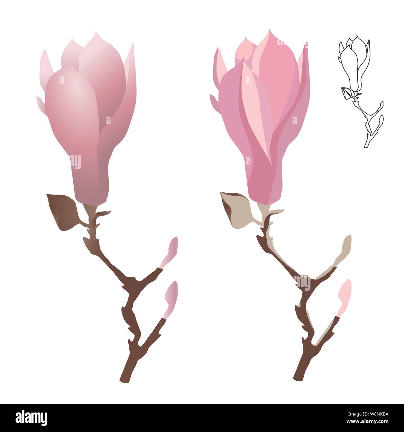 Magnolia flower on a branch of gently pink color. Contour and monochrome cartoon drawing. Vector illustration Stock Vector