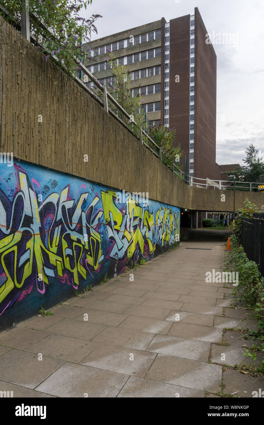 Following A Grant From The Local Council Emporium Way Has Been Transformed Into An Urban Art Gallery By Graffiti Artists Northampton Uk 2018 Stock Photo Alamy