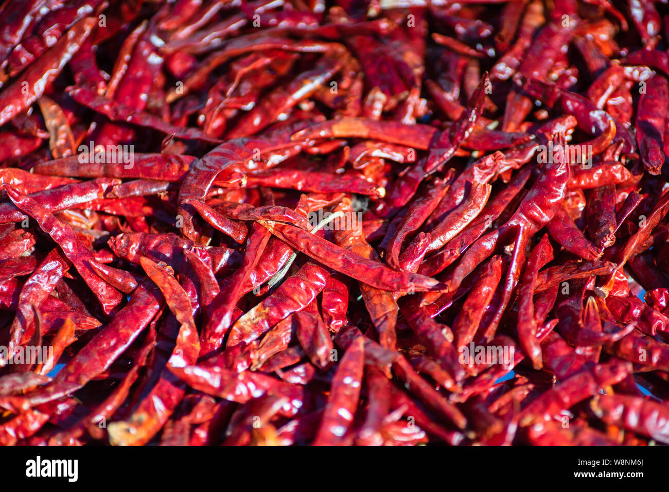 Dried red chilli, food ingredient. Red dry chilli texture background