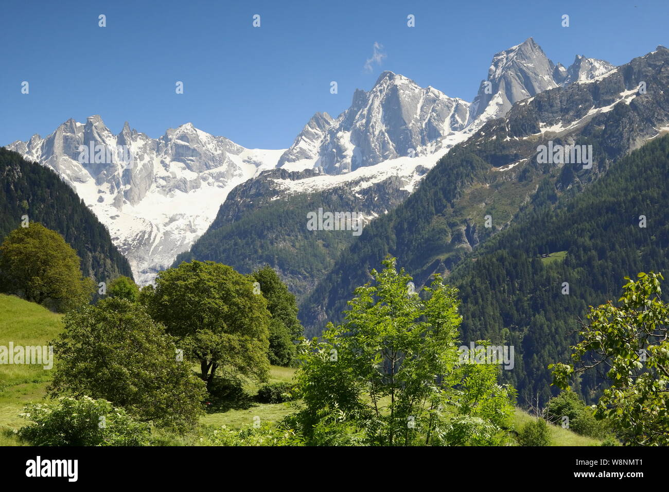 Blick von Soglio auf das Panorama der Bergeller Berge. Stock Photo