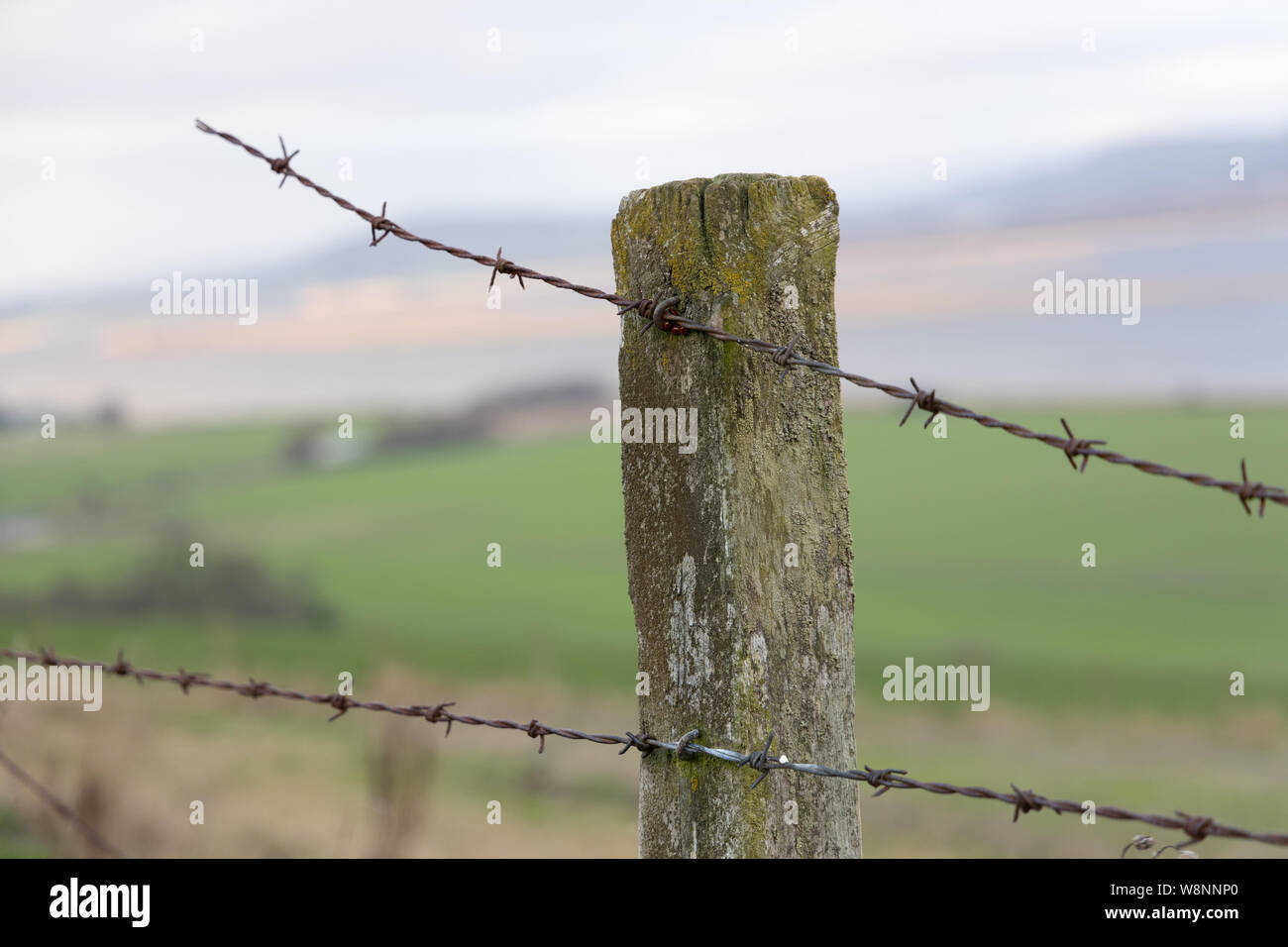 Broken rusted barbed wire on wooden post, close up Stock Photo