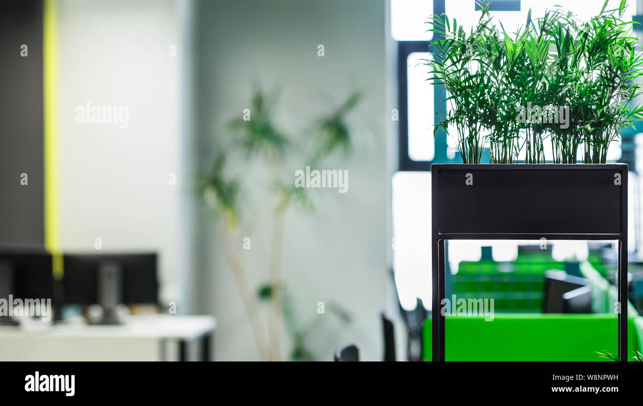 Modern natural office interior with green plants and computers Stock ...
