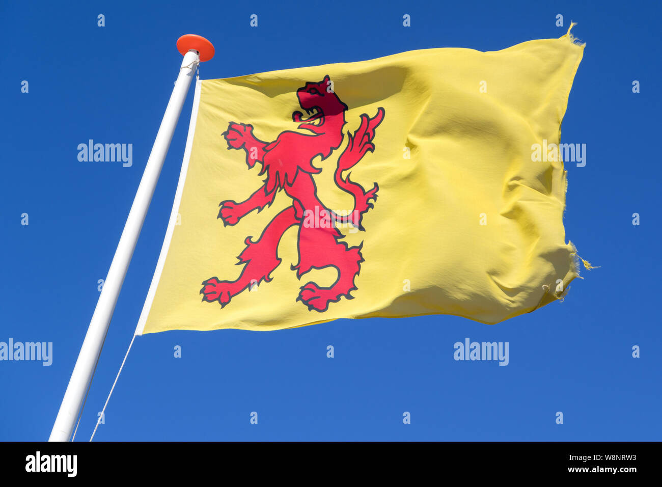flag of Dutch province South Holland flying in the wind Stock Photo