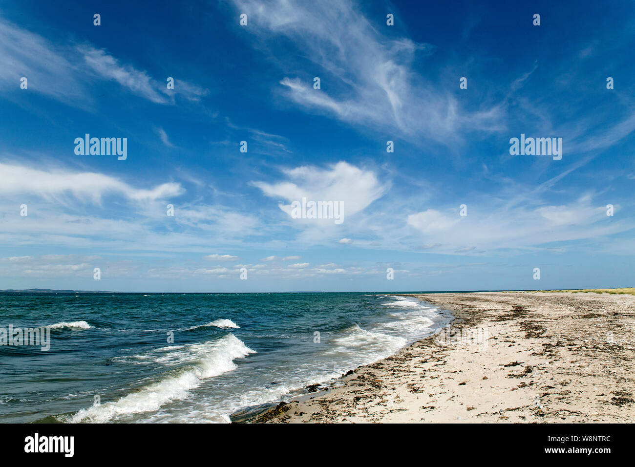 A lonely sand beach at the preserved Isehoved on the island of Samsoe, Denmark .  (Photo by Ole Jensen/Alamy) Stock Photo