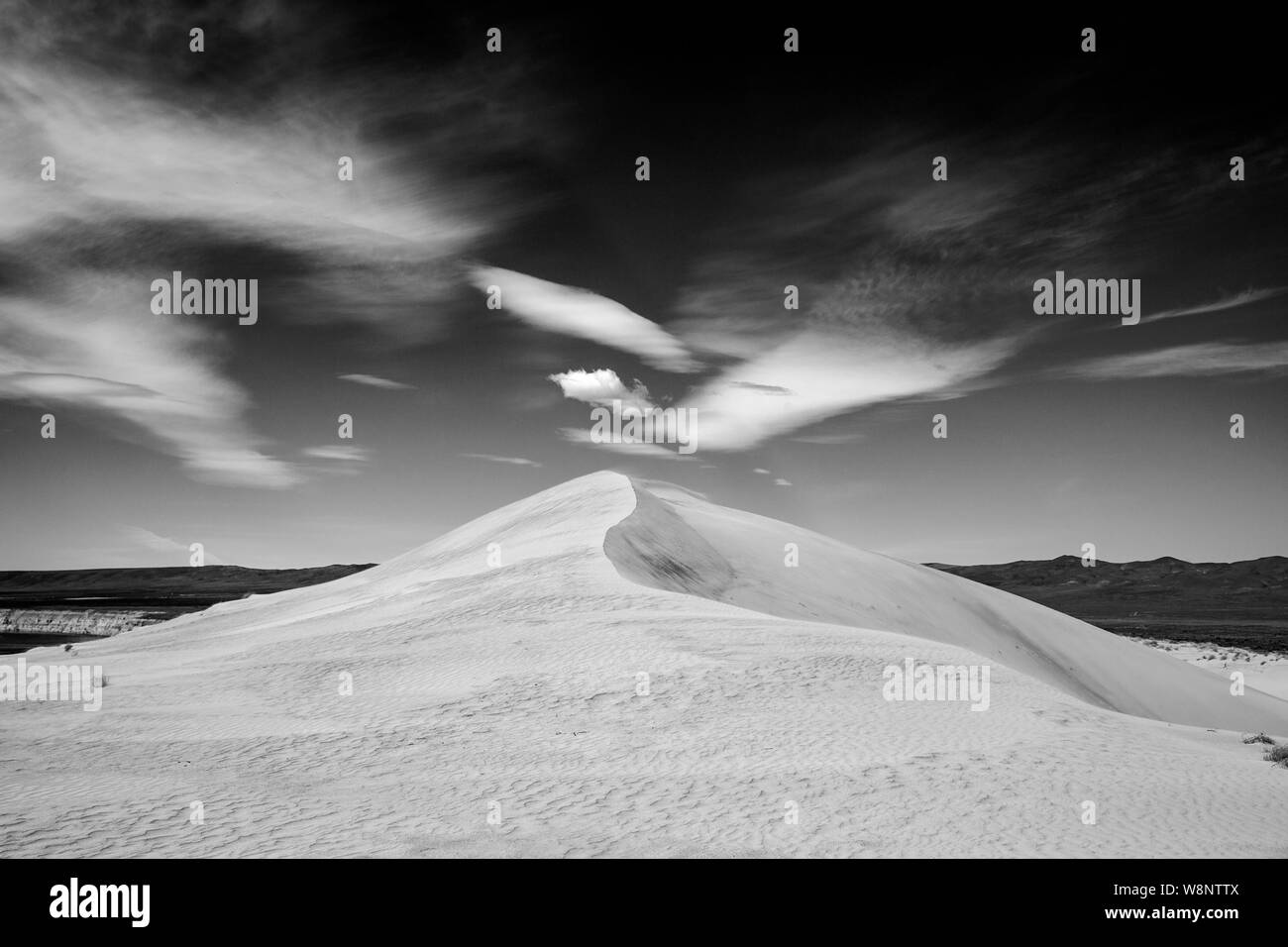 WA17206-00...WASHINGTON - Sand dune in the Hanford Reach National Monument. Stock Photo