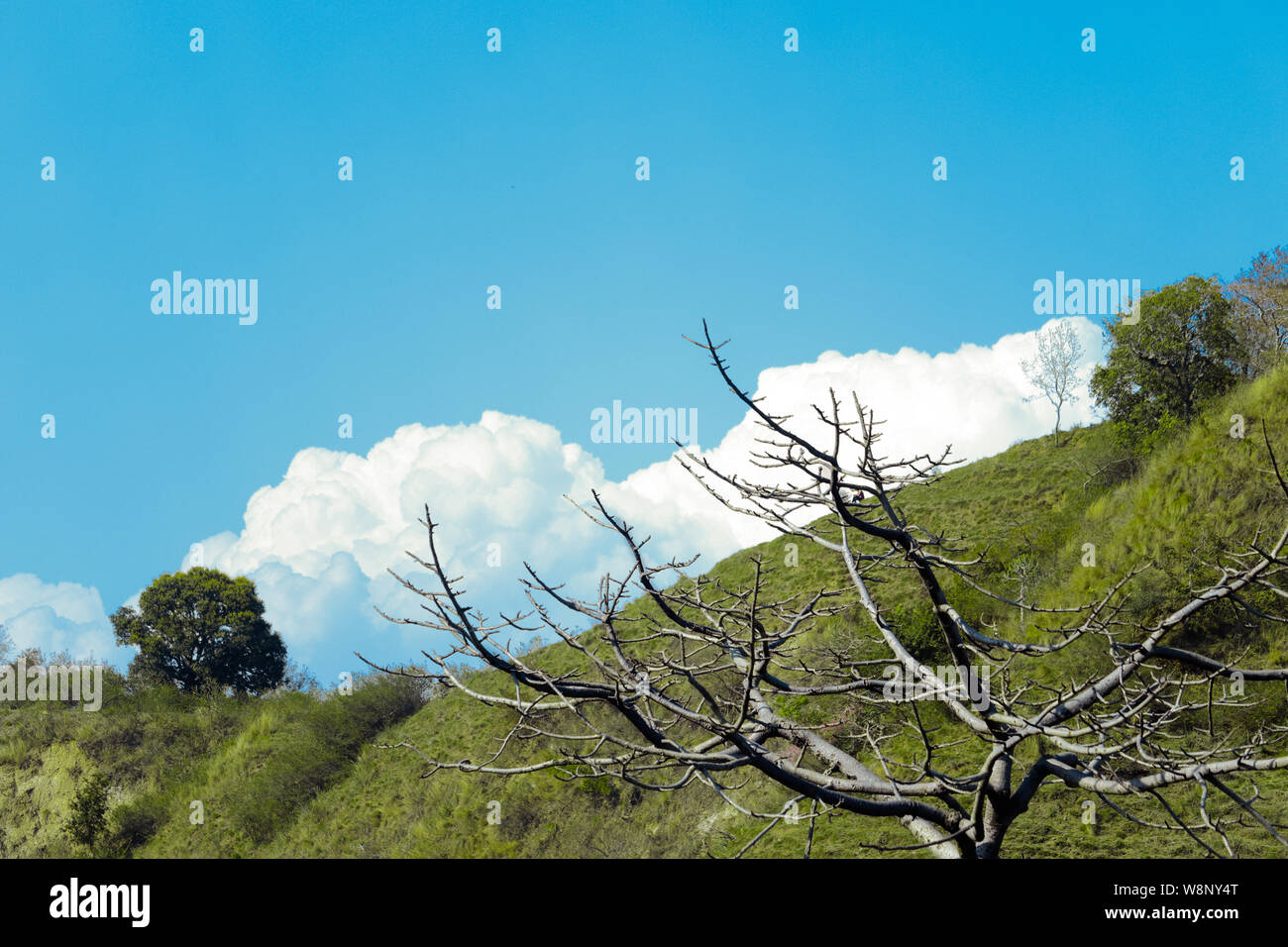 landscape of mountain with blue sky and cloud Stock Photo - Alamy