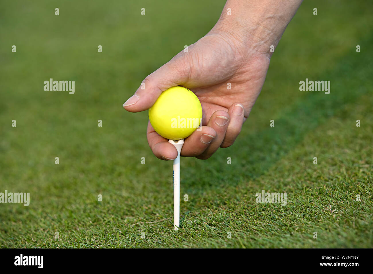 A conceptual photo of putting a golf ball and a tee into the ground
