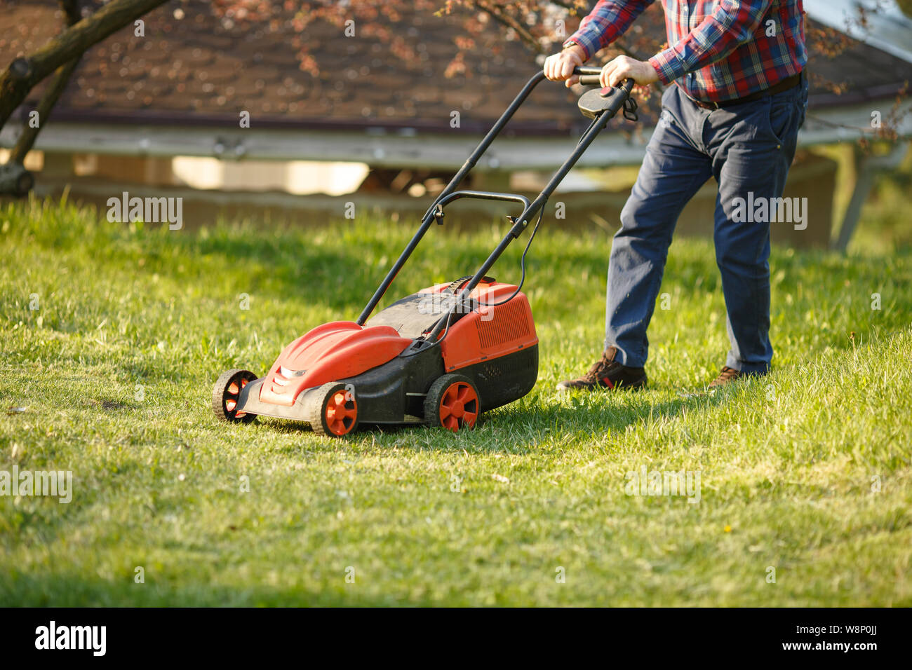 lawnmower man trimmer