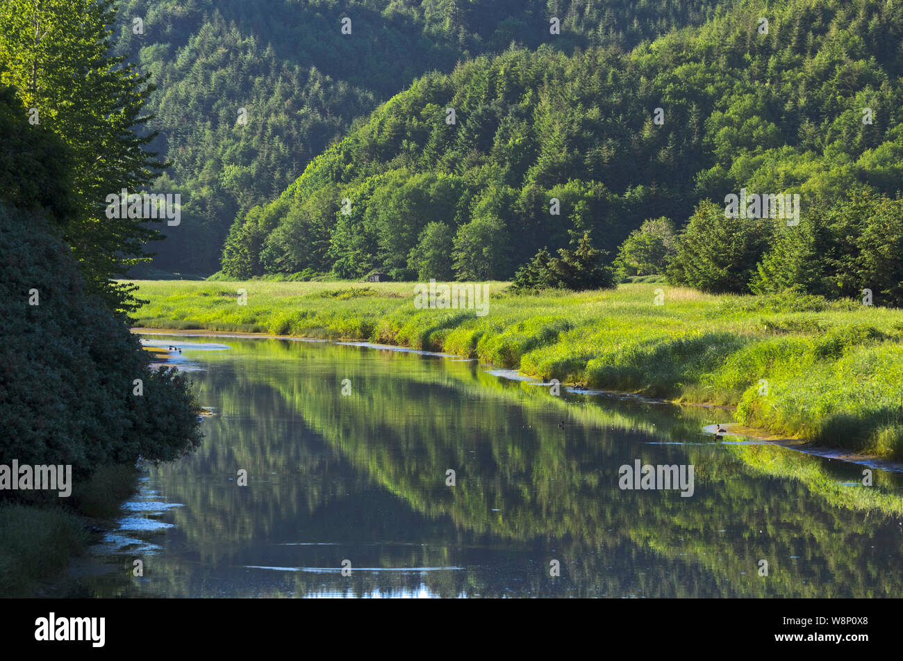 Oregon, Houser Community, near the Pacific coast. Mountains rise from the still, reflective surface of Larson Slough as it enters Coos Bay. Stock Photo