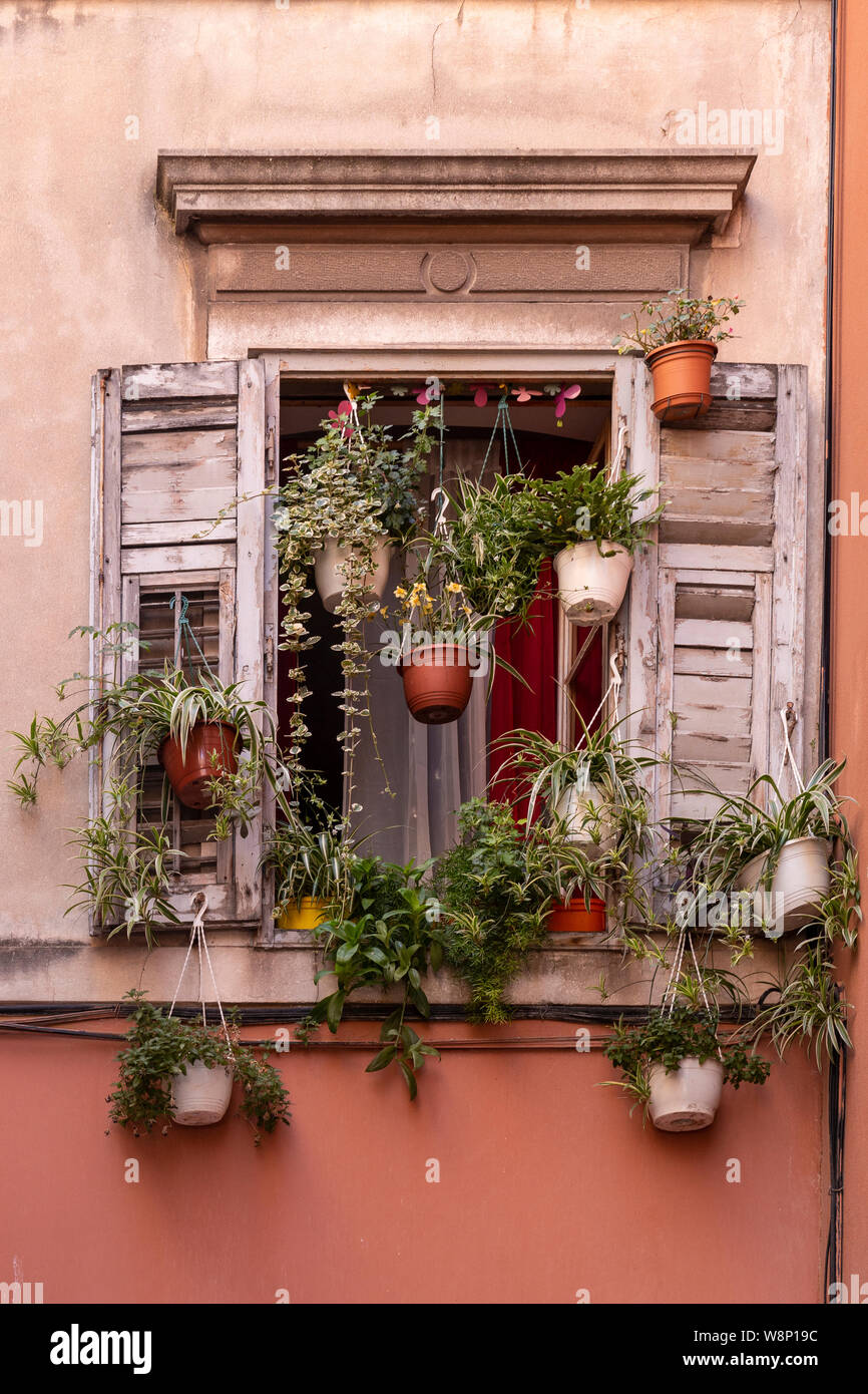 Window with shutters and plants, Split, Croatia Stock Photo