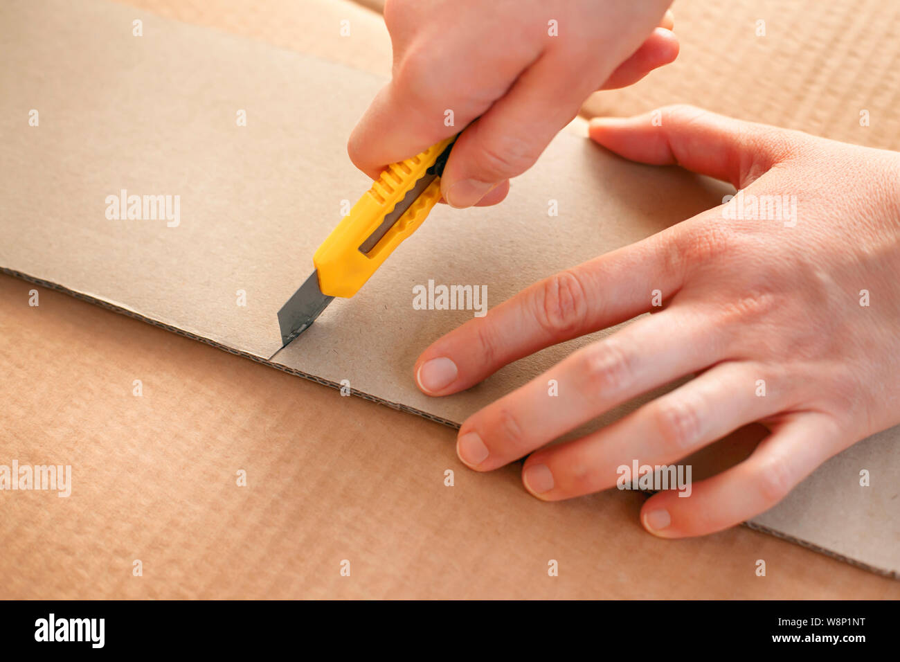 Cardboard cutter hires stock photography and images Alamy