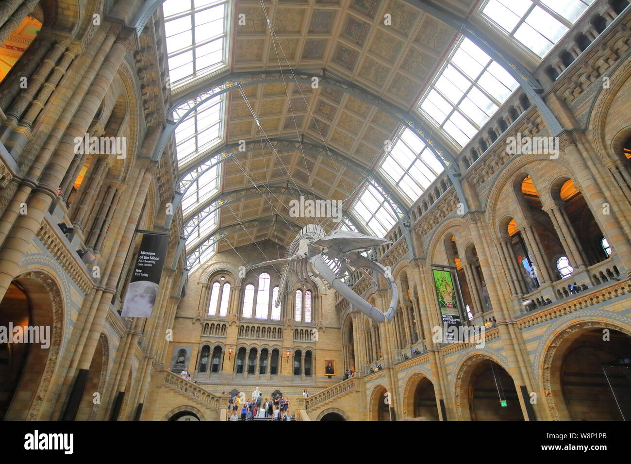 People Visit Natural History Museum London UK Stock Photo Alamy people-visit-natural-history-museum-london-uk-stock-photo-alamy