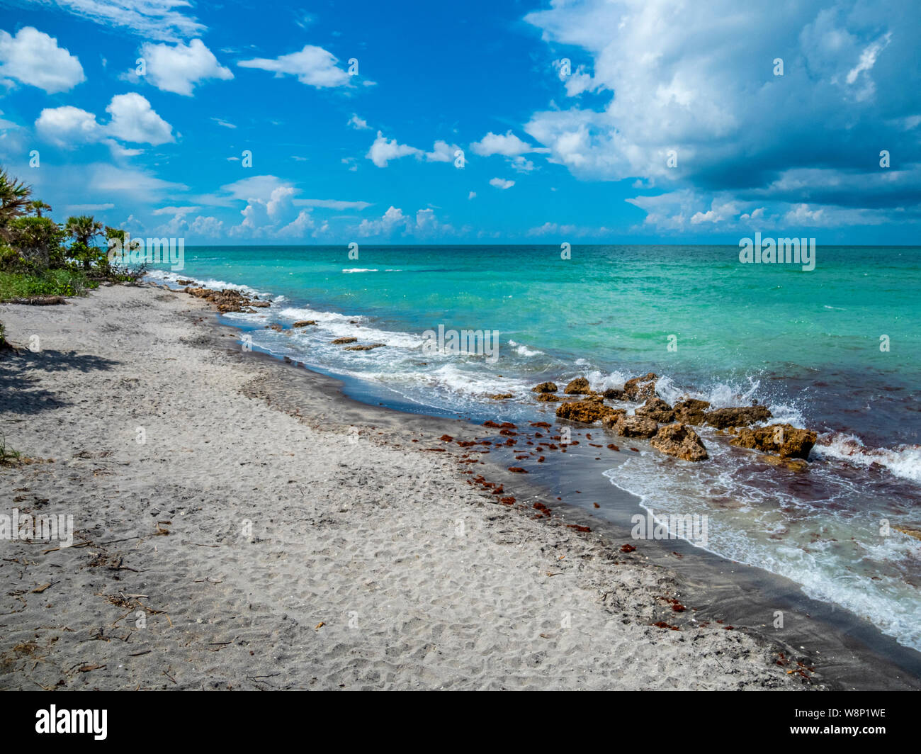 Sunny summer day at Caspersen Beach - Sunny Summer Day At Caspersen Beach On The Gulf Of Mexico In Venice Florida In The United States W8P1WE