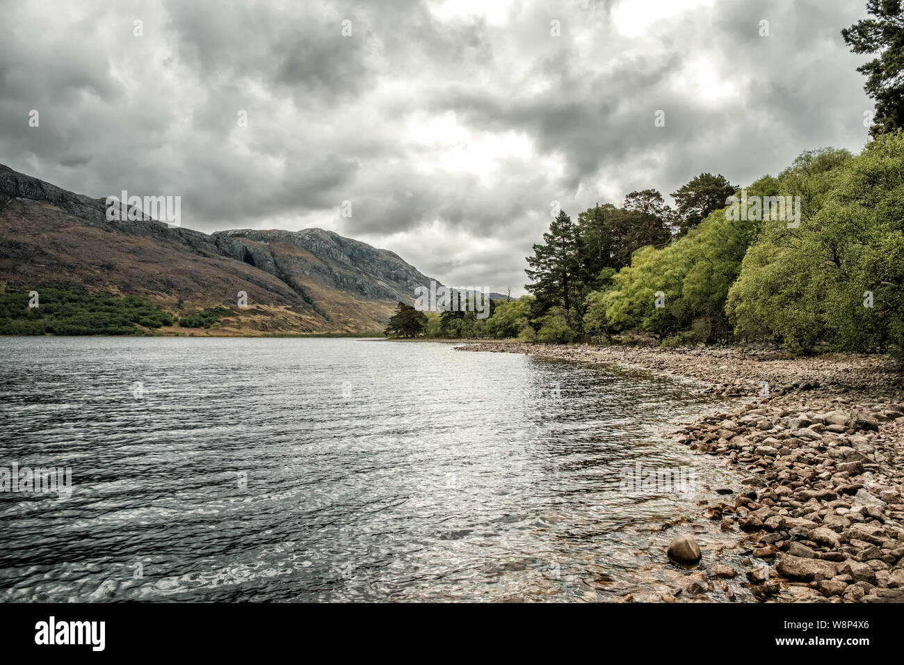 Rocks And Trees On The Banks Of Loch Maree In The Highlands Of Scotland 