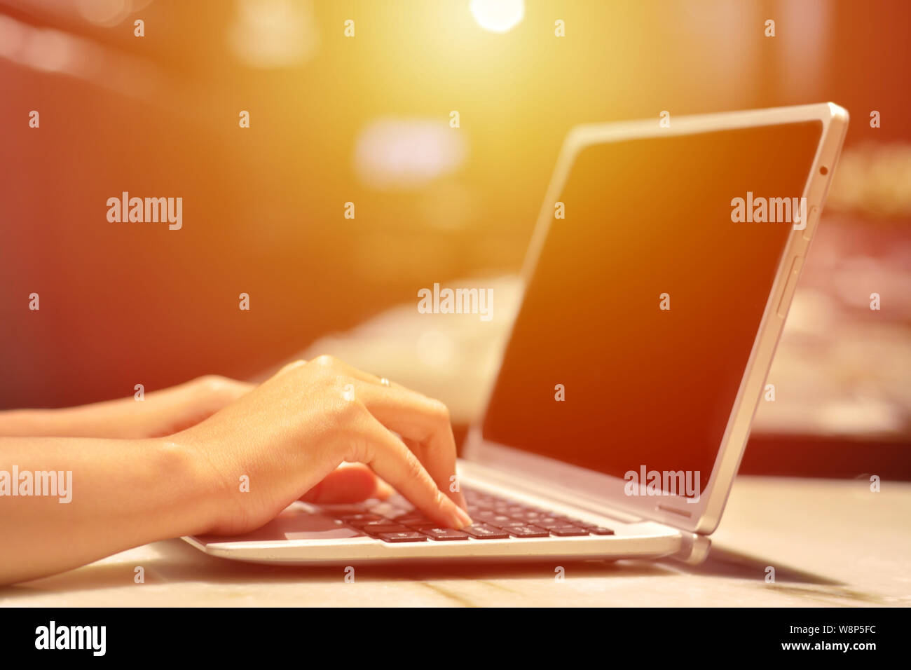 hands with laptop typing in sunlight Stock Photo Alamy
