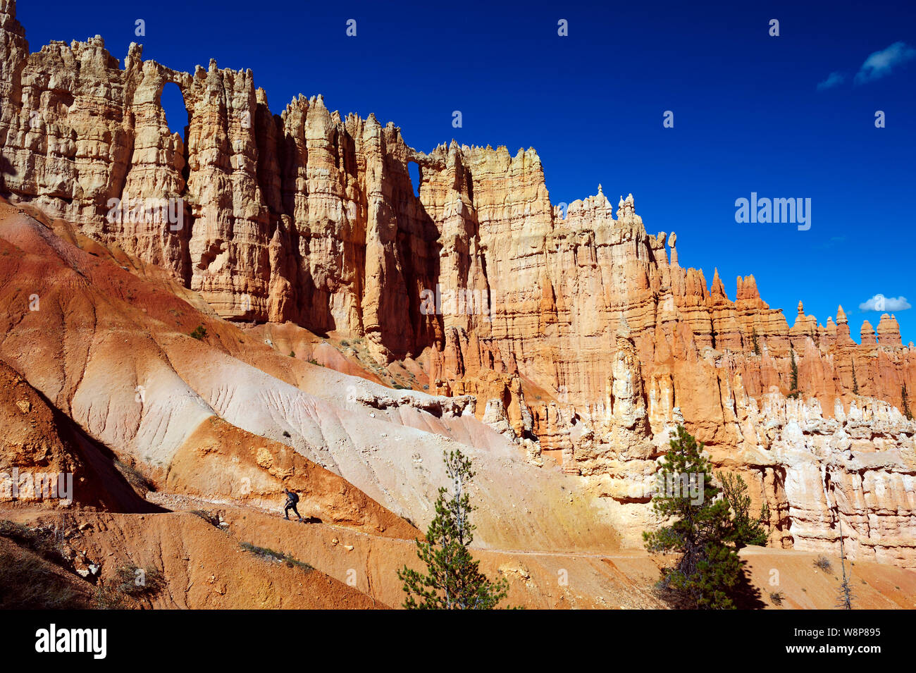 Lone hiker in the mesmerising environment of Bryce Canyon National Park, Utah, USA. Stock Photo