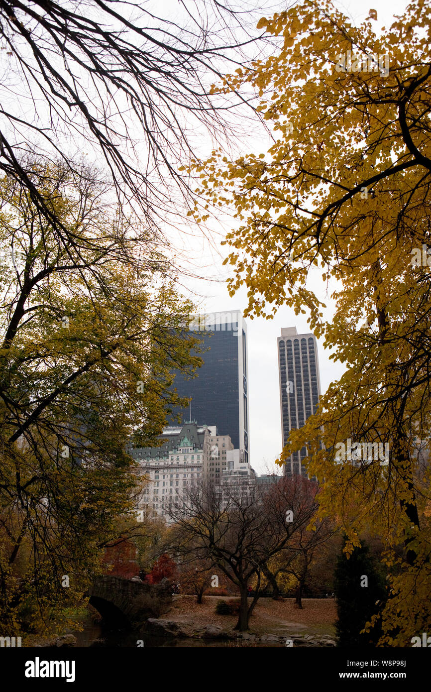 Central Park in the Autumn / Fall Stock Photo - Alamy