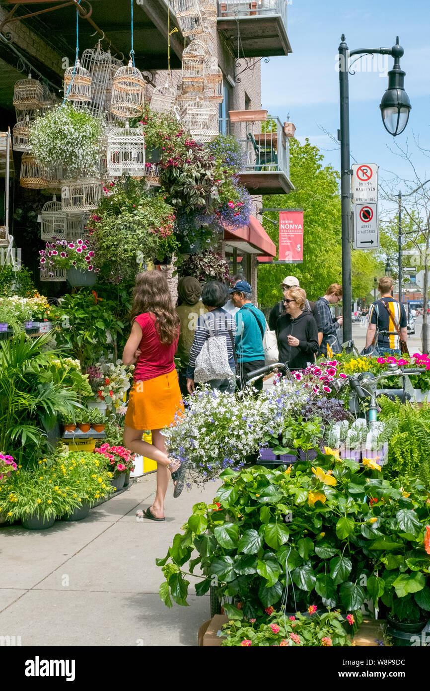 Quebec city mile end hires stock photography and images Alamy