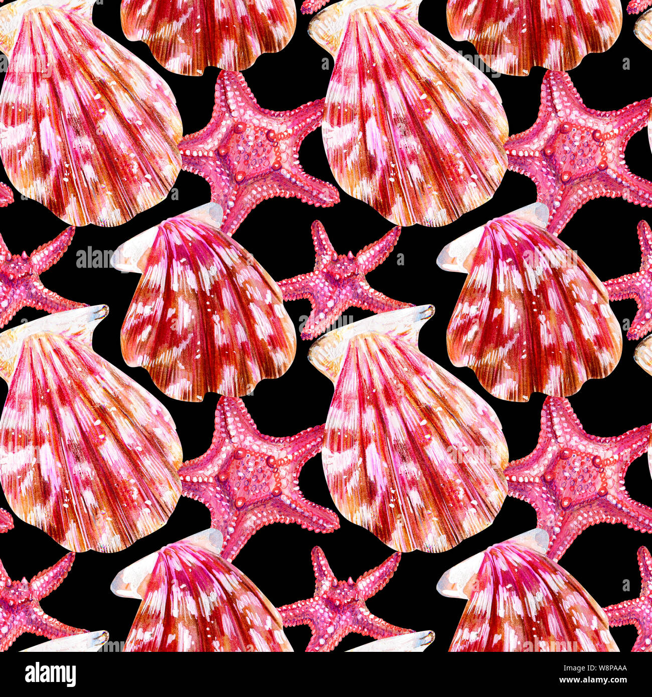 Seamless pattern of scallop shells. Mother of pearl with pink clam Pectinidae and starfish on a black background. Nature of the World Ocean. Summer se Stock Photo