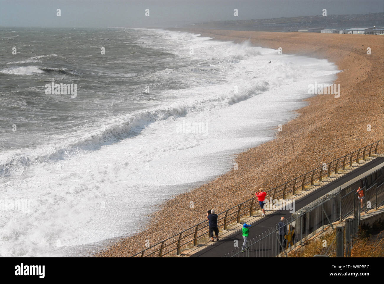 Alamy bird photographs hires stock photography and images Alamy