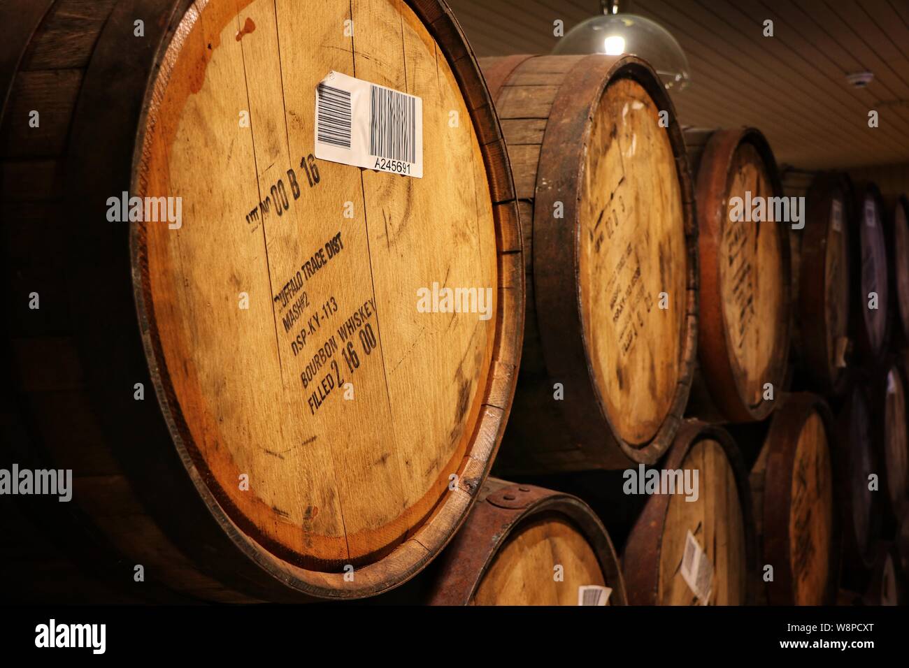 Whisky maturing in Bourbon barrels, Penderyn Distillery, Wales, UK Stock Photo
