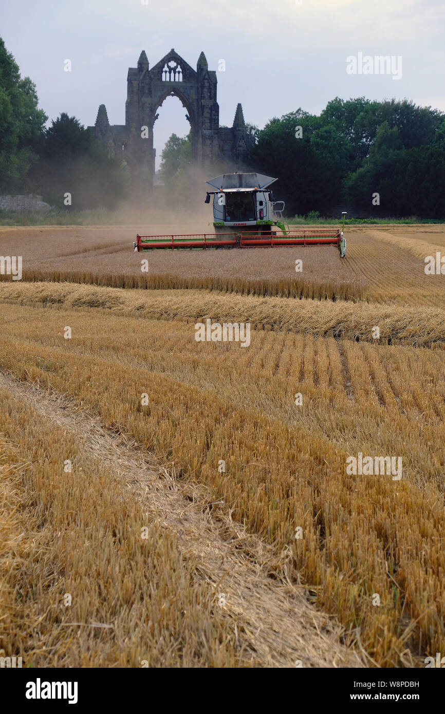 Harvest time around Guisborough priory Stock Photo