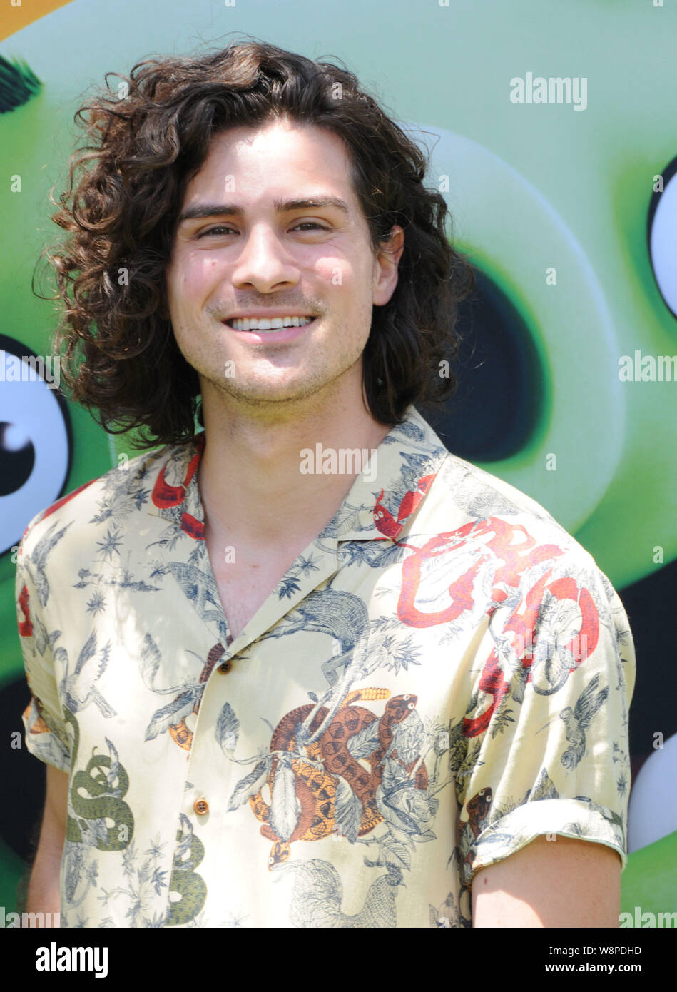 Los Angeles, California, USA 10th August 2019 Musician Anthony Padilla attends Columbia Pictures Presents The World Premiere of 'The Angry Birds 2 Movie' on August 10, 2019 at Regency Village Theatre in Los Angeles, California, USA. Photo by Barry King/Alamy Live News Stock Photo