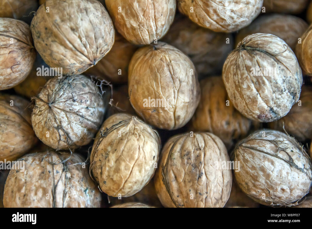 Natural walnut background pattern texture Abstract walnuts heap pattern background Blurred edges frame Natural food in-shell nuts walnuts pattern Stock Photo