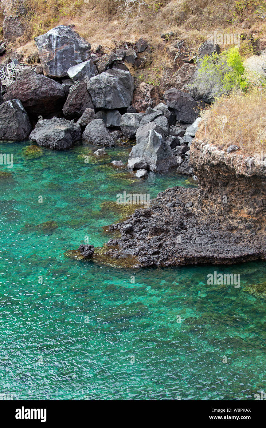 Galapagos islands beach Stock Photo