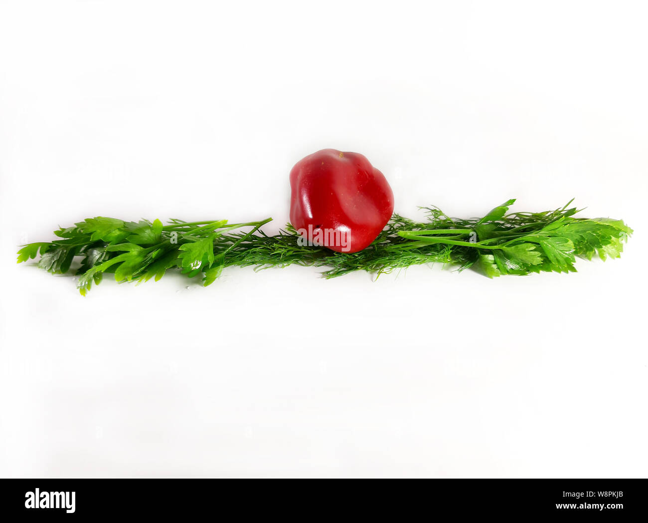 Greens border, ecology, food, dill. Isolated green line for design, white background, modern. Stock Photo