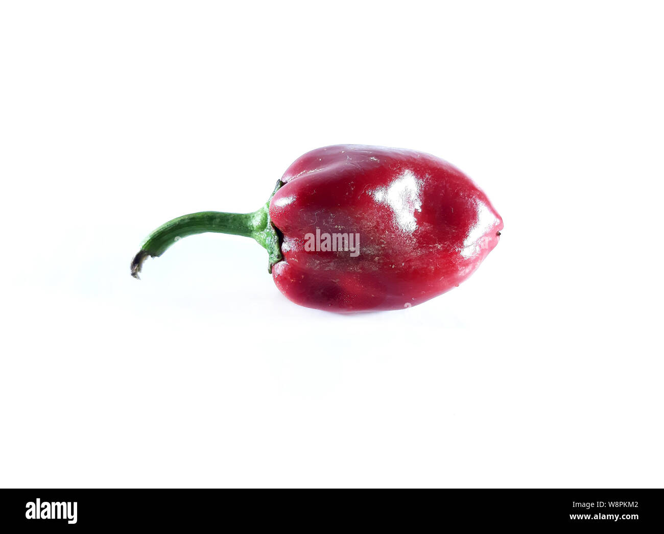 Red pepper is sweet, photo. Useful product, a plant for food.Border, line Stock Photo