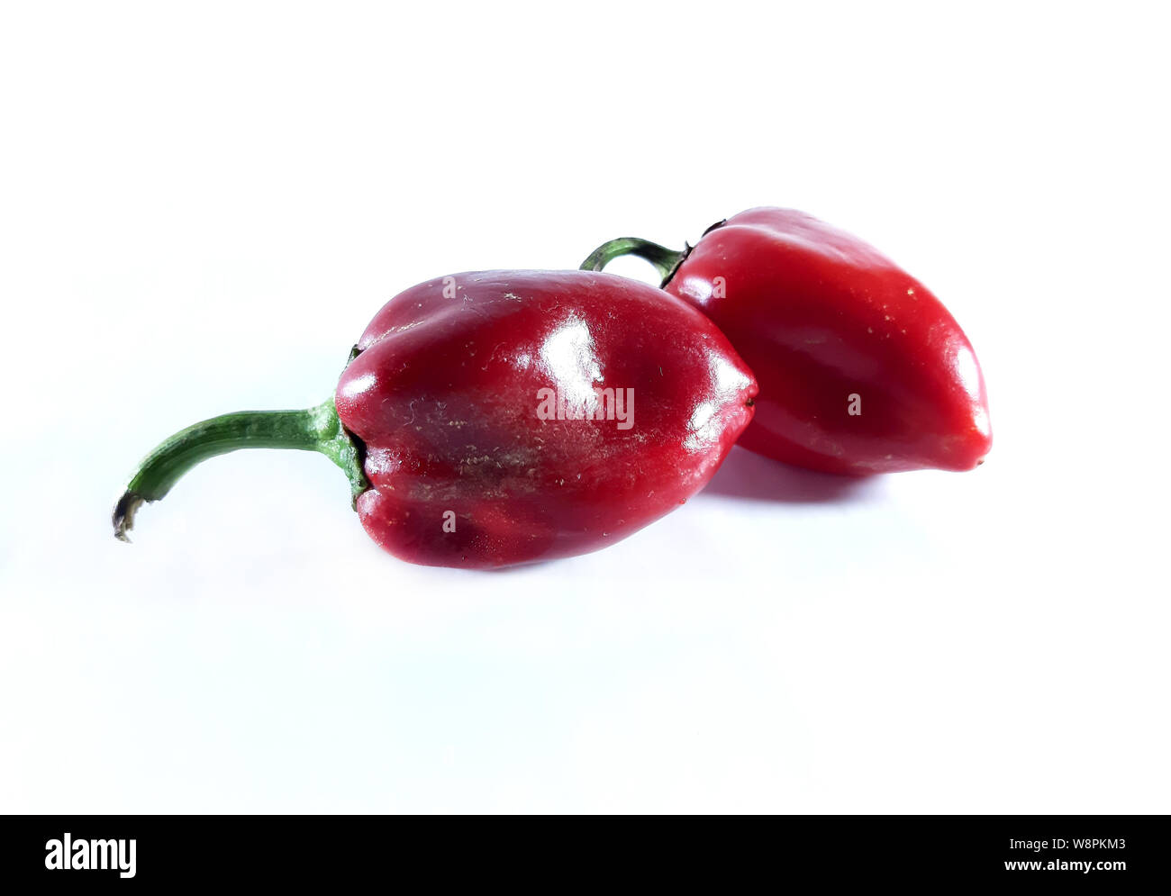 Red pepper is sweet, photo. Useful product, a plant for food.Border, line Stock Photo