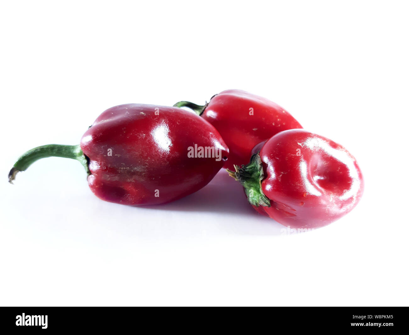 Red pepper is sweet, photo. Useful product, a plant for food. Stock Photo