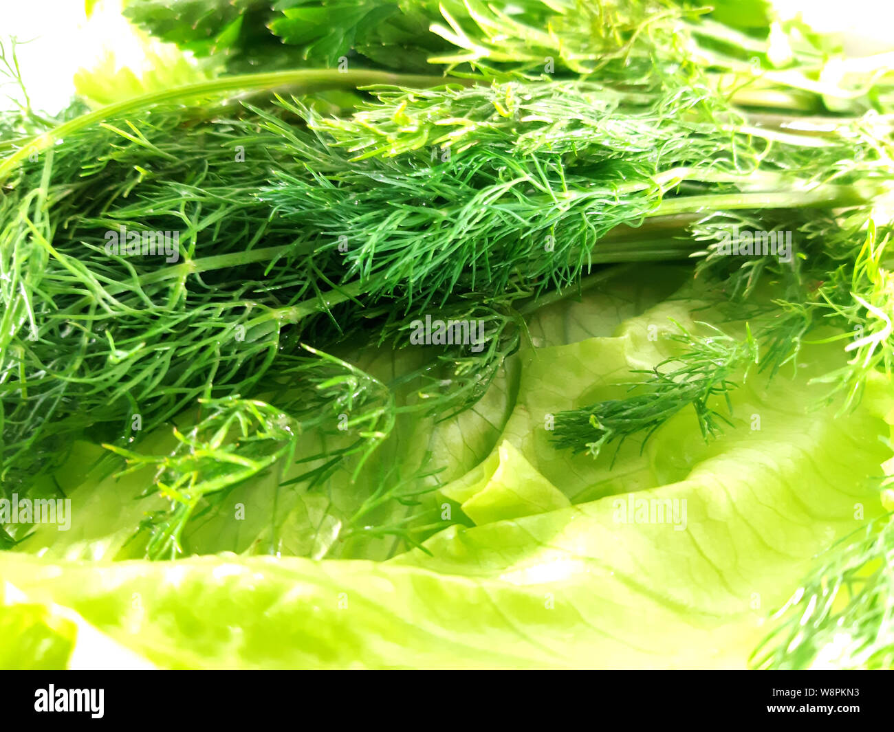 Assorted vegetables, mix, photo. Useful product, a plant for food, diet Stock Photo