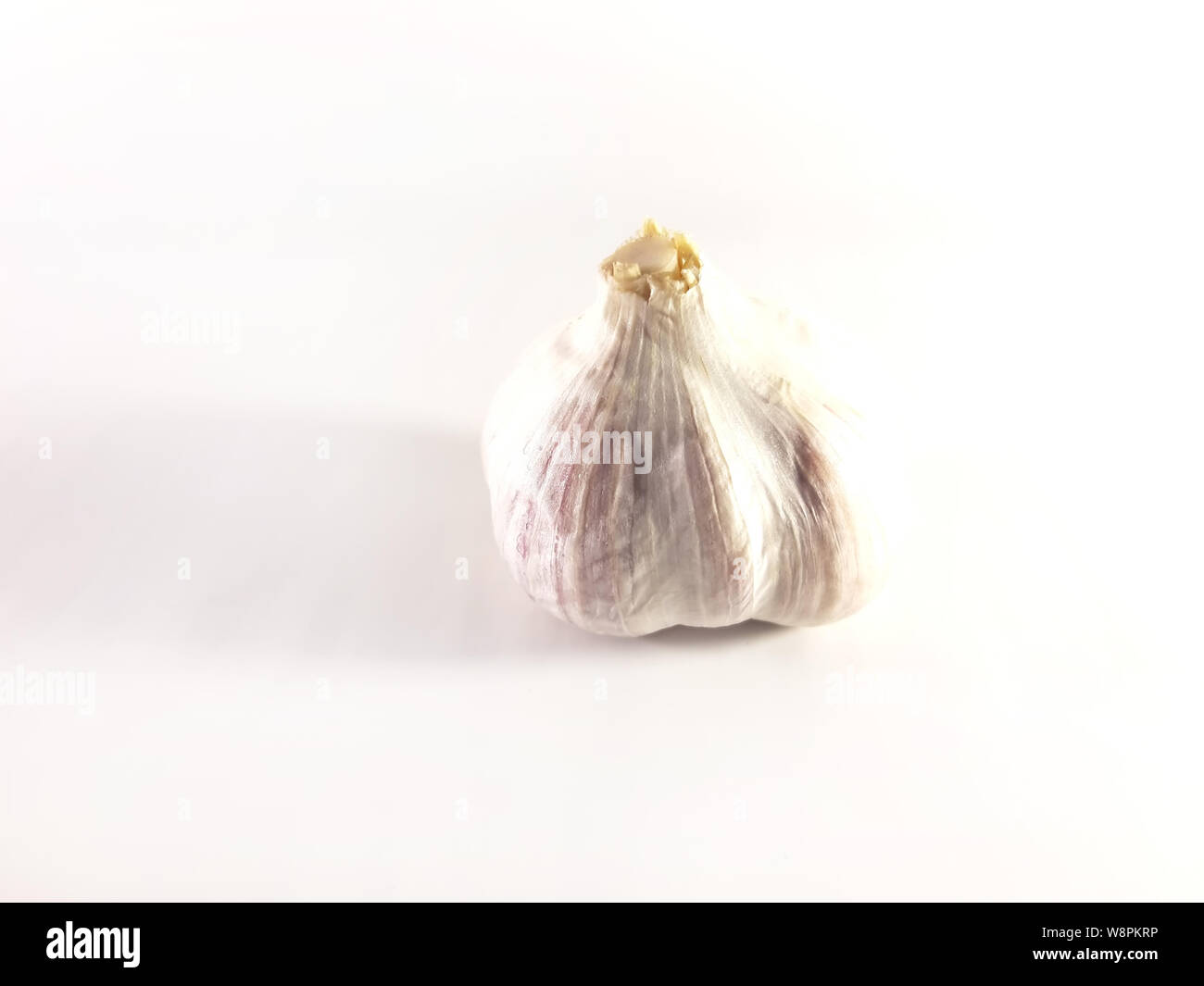 Garlic isolated, great design for any purposes. White design background. Vegetarian food. Aromatic condiment Stock Photo