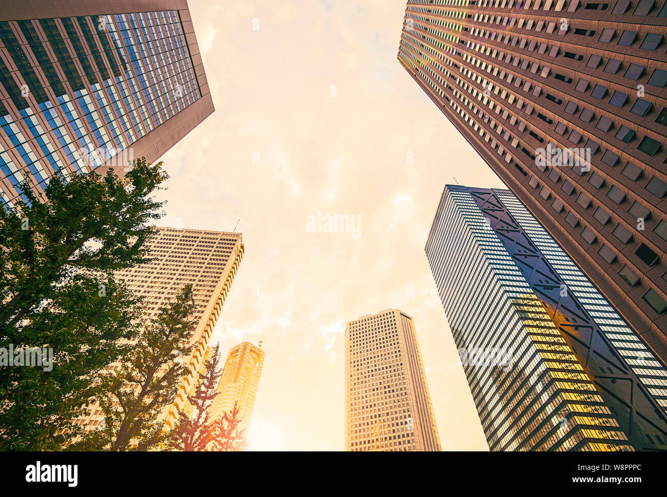 Skyscraper skyscrapers tall office building buildings hi-res stock ...