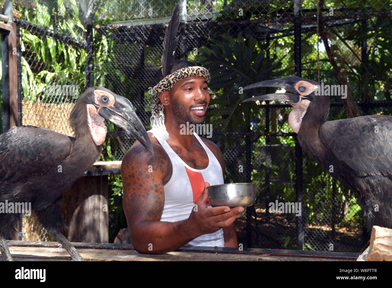 The Real Tarzan 24 year old zookeeper dubbed the next steve irwin michael holston hi