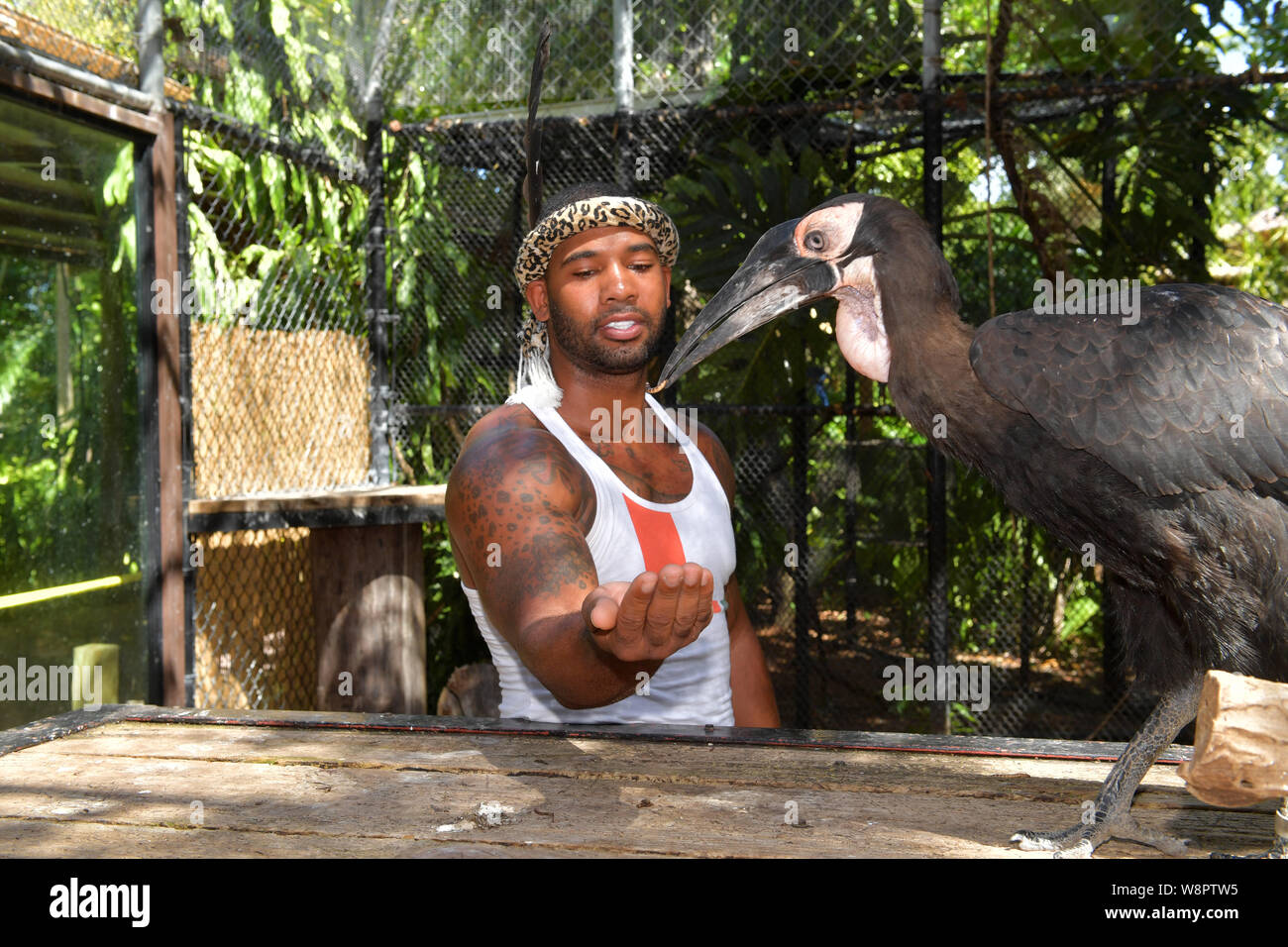 MIAMI, FL JULY 12 Michael Holston, is the 24YearOld Zookeeper who