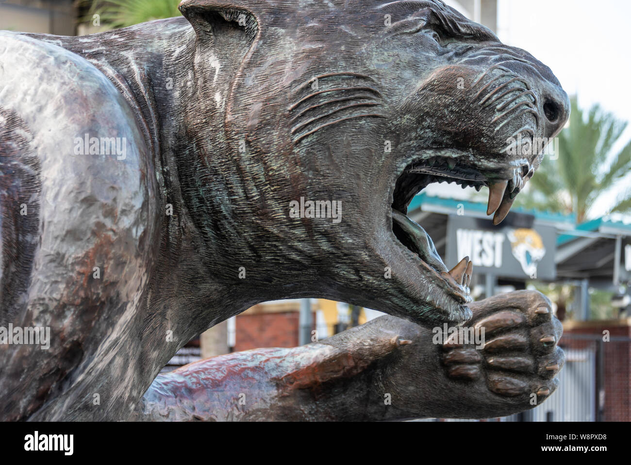 Jacksonville Jaguars bronze jaguar sculpture at the entrance TIAA Bank Field in downtown Jacksonville, Florida. (USA) Stock Photo