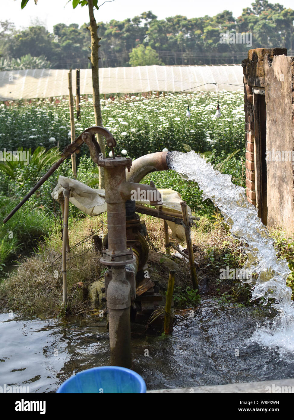 water supply shallow machine water pump supply farm land green flow