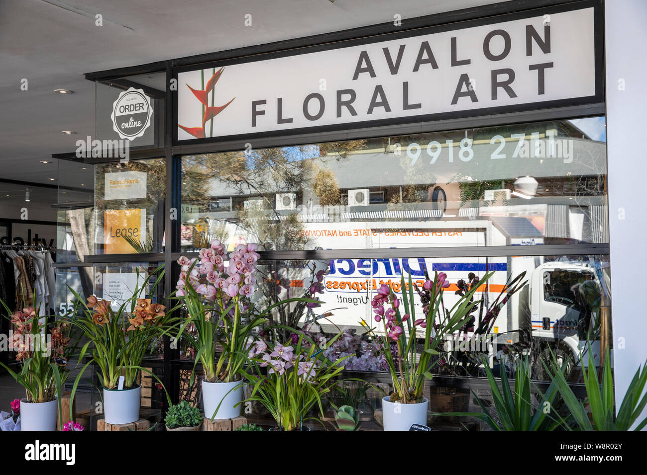 The Avalon Stock Photos & The Avalon Stock Images Alamy