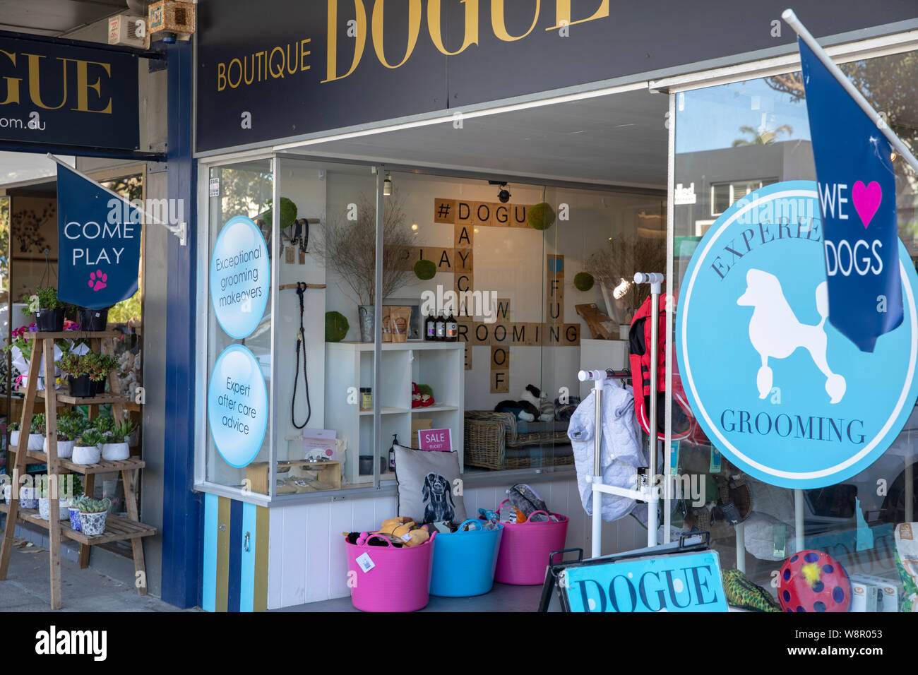 Dogue hotsell pet shop