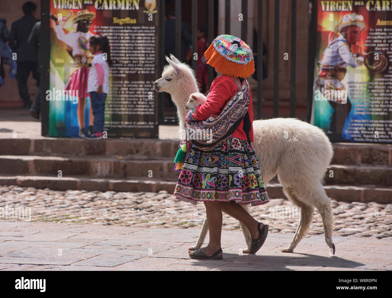 Peru sacred valley llama hi-res stock photography and images - Alamy